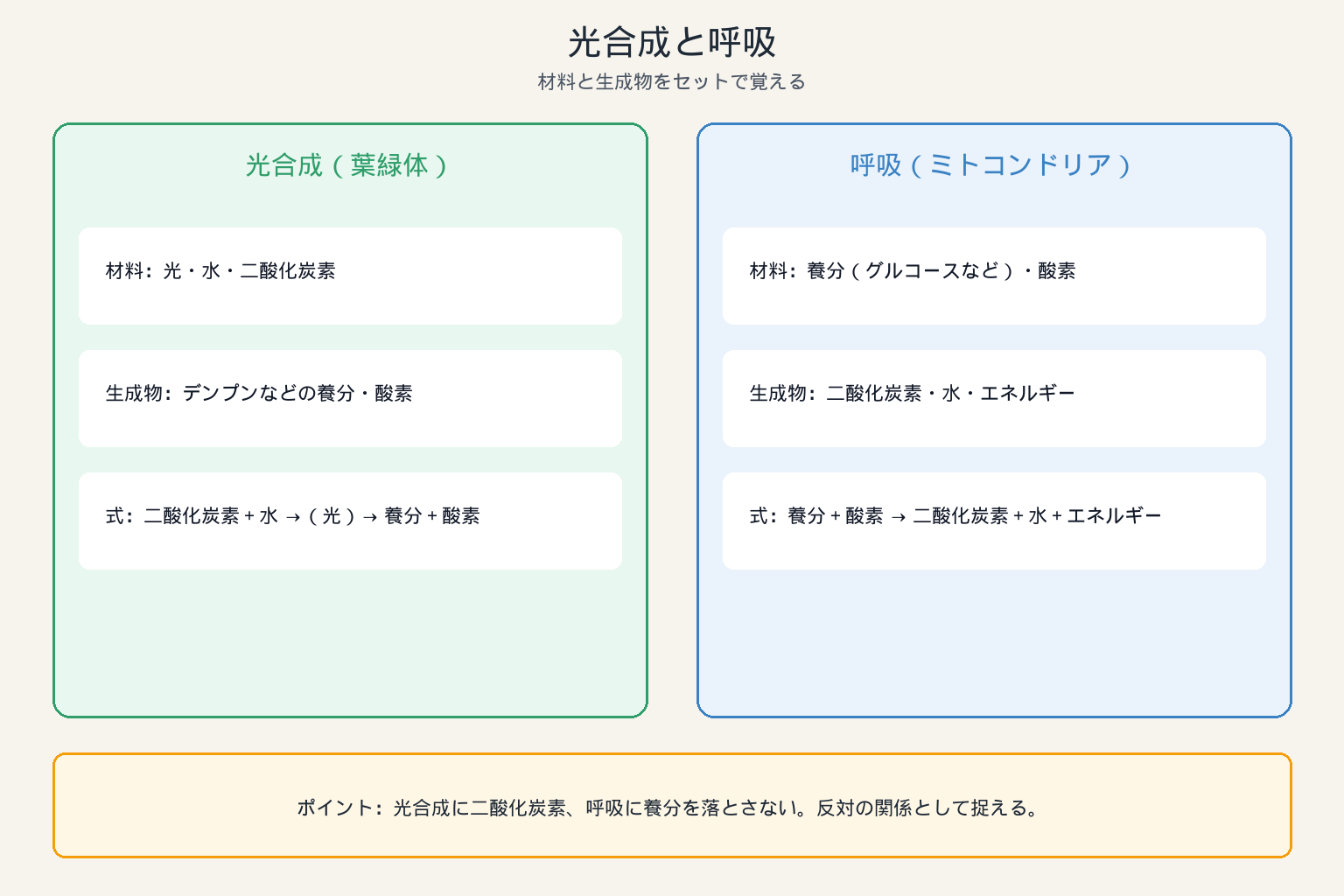 光合成と呼吸